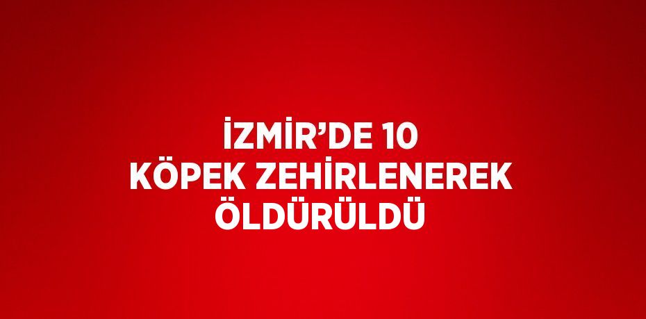 İZMİR’DE 10 KÖPEK ZEHİRLENEREK ÖLDÜRÜLDÜ