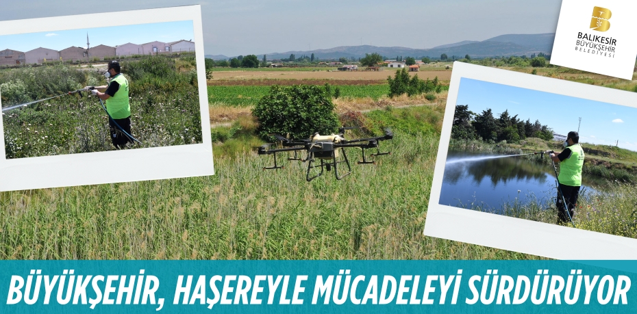 BÜYÜKŞEHİR, HAŞEREYLE MÜCADELEYİ SÜRDÜRÜYOR