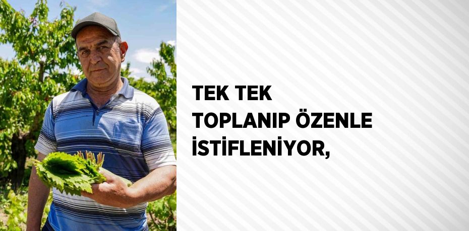 TEK TEK TOPLANIP ÖZENLE İSTİFLENİYOR,