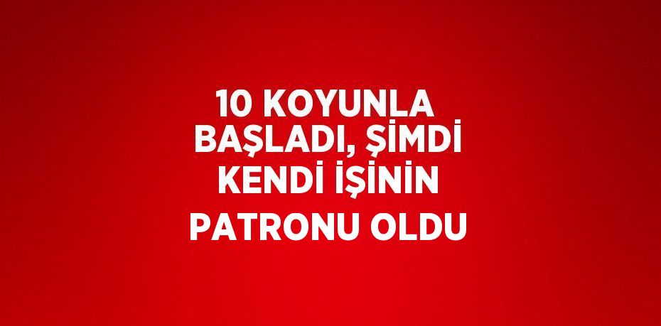 10 KOYUNLA BAŞLADI, ŞİMDİ KENDİ İŞİNİN PATRONU OLDU