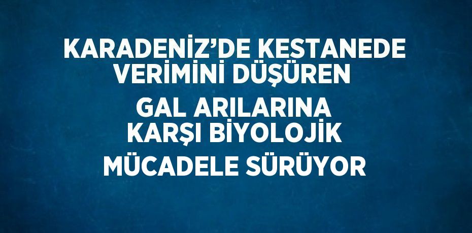 KARADENİZ’DE KESTANEDE VERİMİNİ DÜŞÜREN GAL ARILARINA KARŞI BİYOLOJİK MÜCADELE SÜRÜYOR