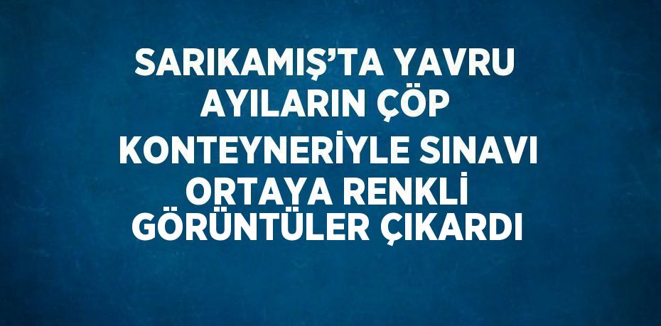 SARIKAMIŞ’TA YAVRU AYILARIN ÇÖP KONTEYNERİYLE SINAVI ORTAYA RENKLİ GÖRÜNTÜLER ÇIKARDI