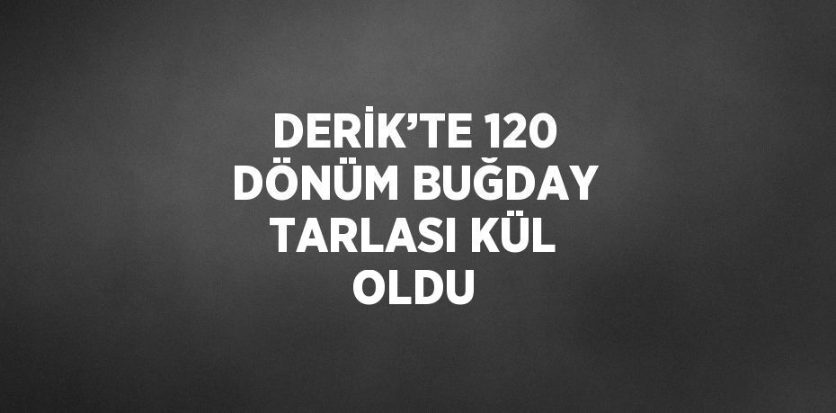 DERİK’TE 120 DÖNÜM BUĞDAY TARLASI KÜL OLDU