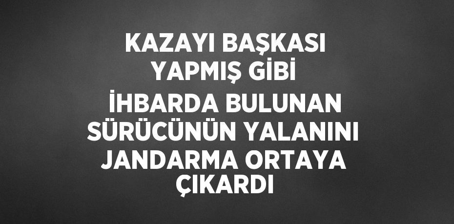 KAZAYI BAŞKASI YAPMIŞ GİBİ İHBARDA BULUNAN SÜRÜCÜNÜN YALANINI JANDARMA ORTAYA ÇIKARDI