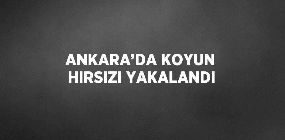 ANKARA’DA KOYUN HIRSIZI YAKALANDI