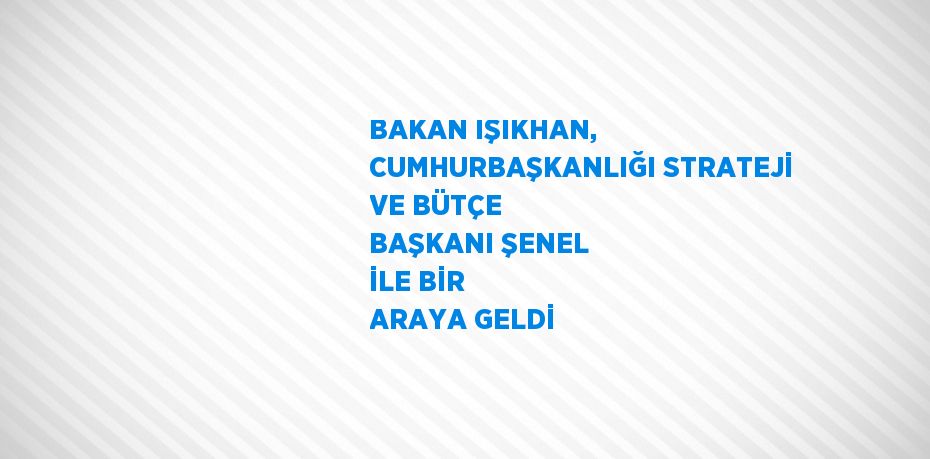 BAKAN IŞIKHAN, CUMHURBAŞKANLIĞI STRATEJİ VE BÜTÇE BAŞKANI ŞENEL İLE BİR ARAYA GELDİ