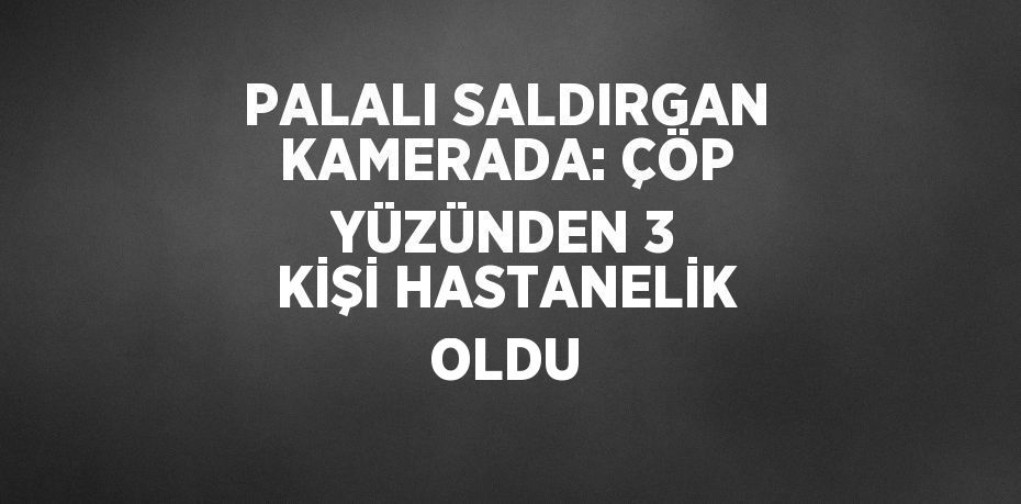 PALALI SALDIRGAN KAMERADA: ÇÖP YÜZÜNDEN 3 KİŞİ HASTANELİK OLDU