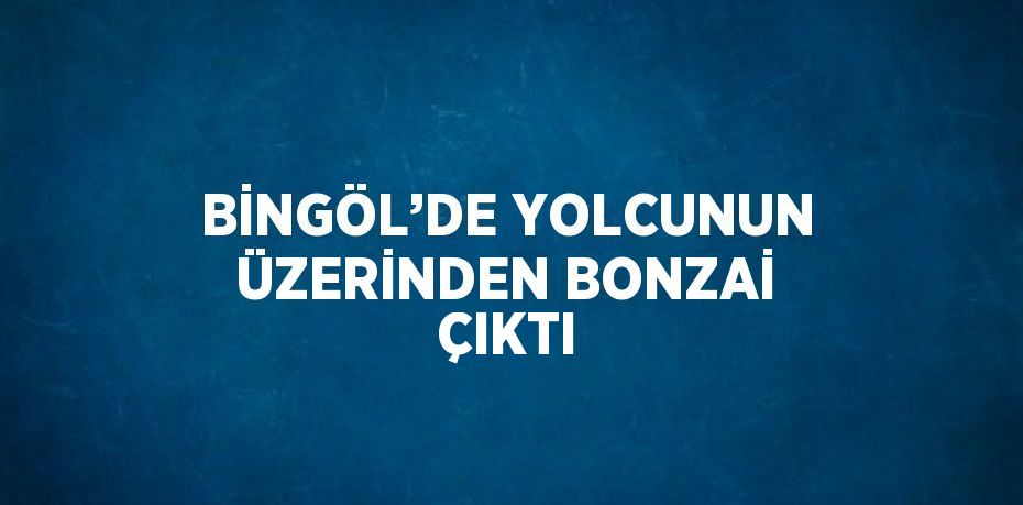BİNGÖL’DE YOLCUNUN ÜZERİNDEN BONZAİ ÇIKTI