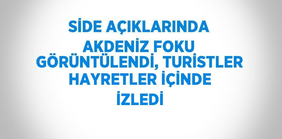 SİDE AÇIKLARINDA AKDENİZ FOKU GÖRÜNTÜLENDİ, TURİSTLER HAYRETLER İÇİNDE İZLEDİ