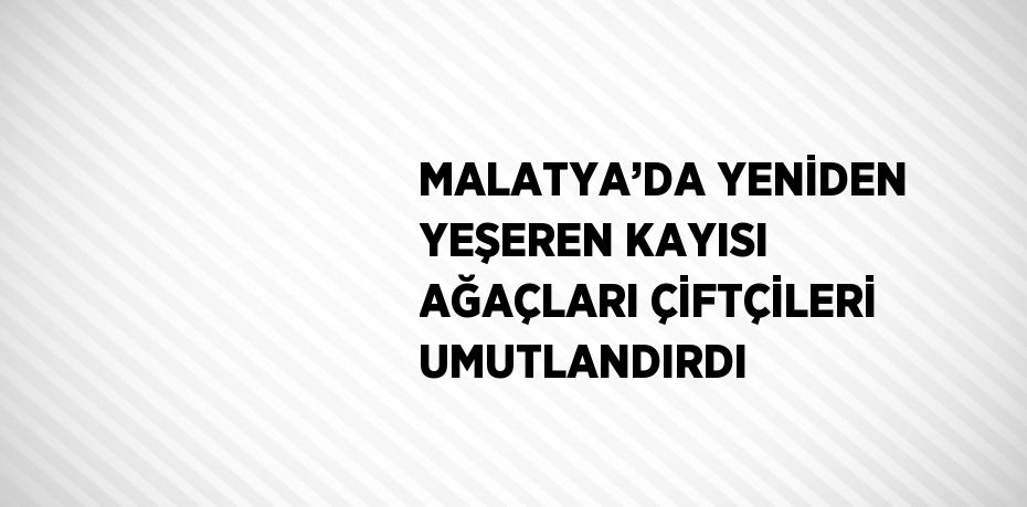 MALATYA’DA YENİDEN YEŞEREN KAYISI AĞAÇLARI ÇİFTÇİLERİ UMUTLANDIRDI