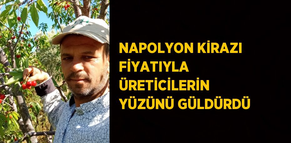 NAPOLYON KİRAZI FİYATIYLA ÜRETİCİLERİN YÜZÜNÜ GÜLDÜRDÜ