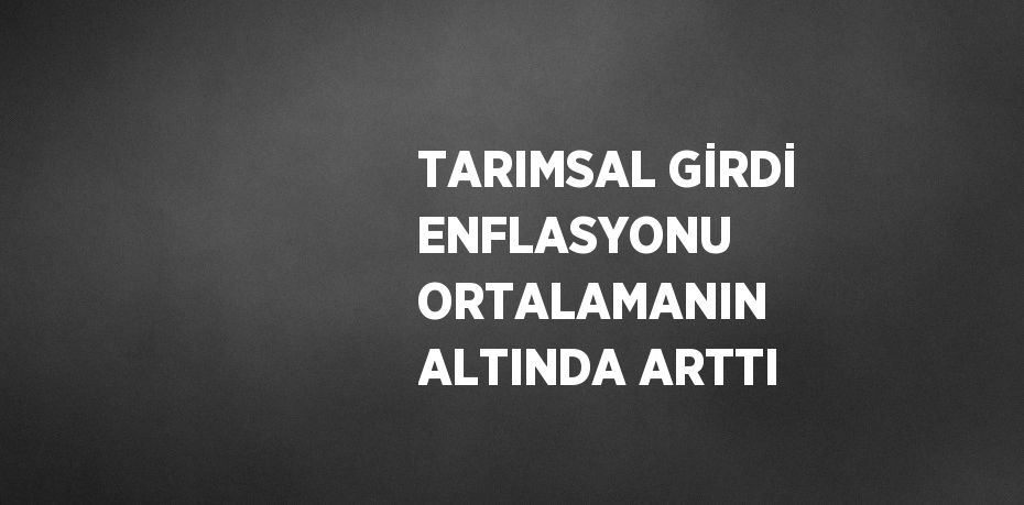 TARIMSAL GİRDİ ENFLASYONU ORTALAMANIN ALTINDA ARTTI
