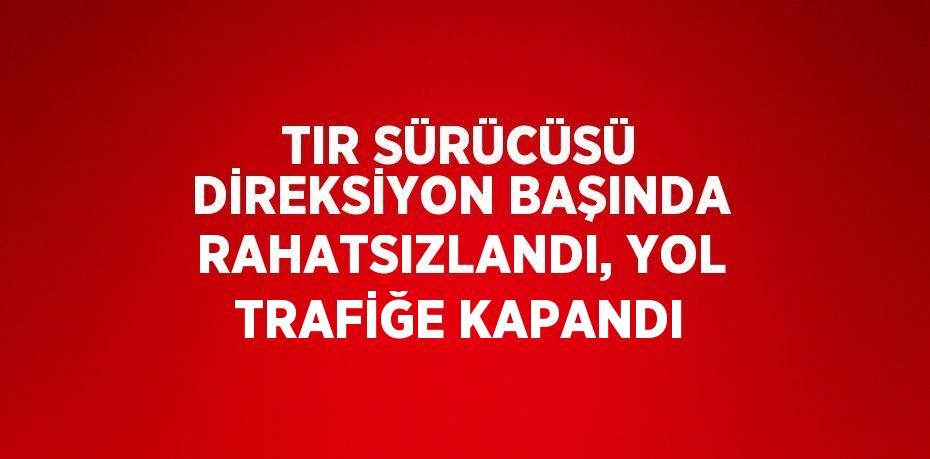 TIR SÜRÜCÜSÜ DİREKSİYON BAŞINDA RAHATSIZLANDI, YOL TRAFİĞE KAPANDI