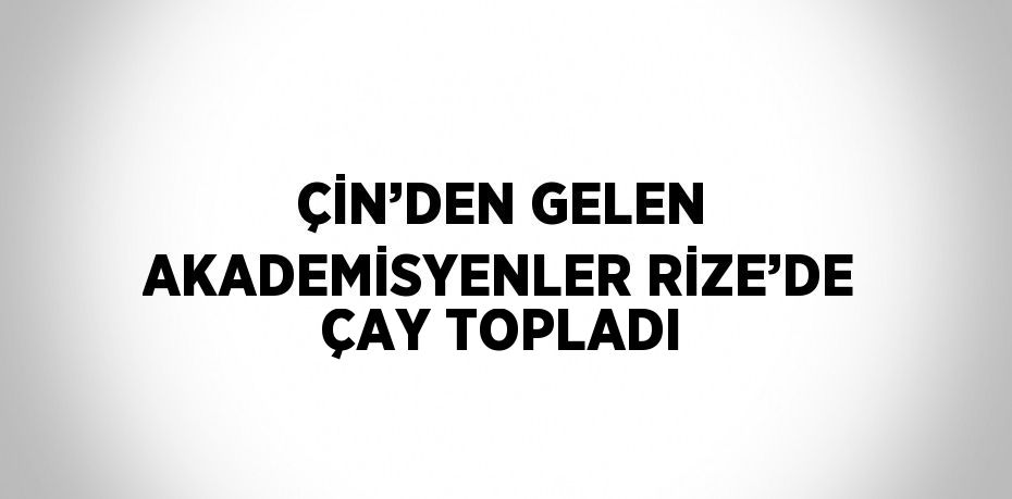 ÇİN’DEN GELEN AKADEMİSYENLER RİZE’DE ÇAY TOPLADI
