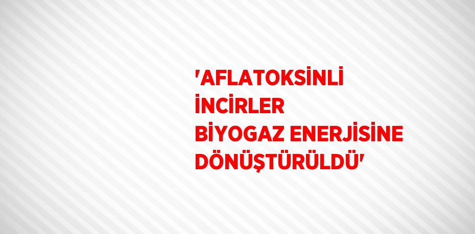 'AFLATOKSİNLİ İNCİRLER BİYOGAZ ENERJİSİNE DÖNÜŞTÜRÜLDÜ'