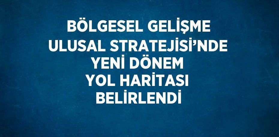 BÖLGESEL GELİŞME ULUSAL STRATEJİSİ’NDE YENİ DÖNEM YOL HARİTASI BELİRLENDİ