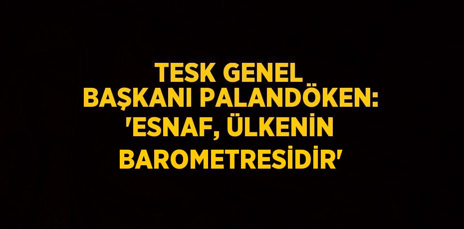 TESK GENEL BAŞKANI PALANDÖKEN: 'ESNAF, ÜLKENİN BAROMETRESİDİR'