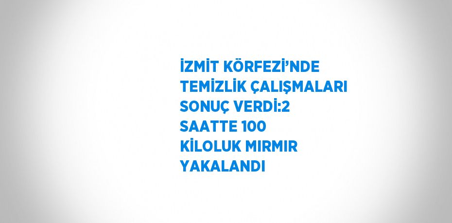 İZMİT KÖRFEZİ’NDE TEMİZLİK ÇALIŞMALARI SONUÇ VERDİ:2 SAATTE 100 KİLOLUK MIRMIR YAKALANDI