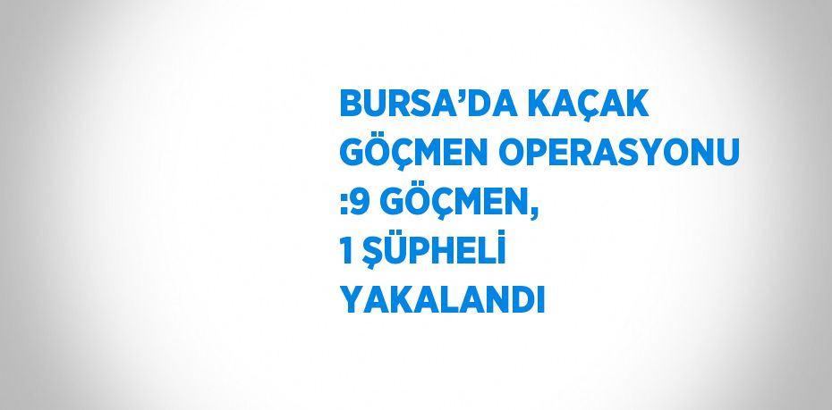 BURSA’DA KAÇAK GÖÇMEN OPERASYONU :9 GÖÇMEN, 1 ŞÜPHELİ YAKALANDI