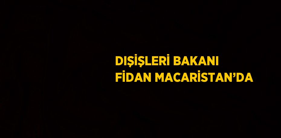 DIŞİŞLERİ BAKANI FİDAN MACARİSTAN’DA