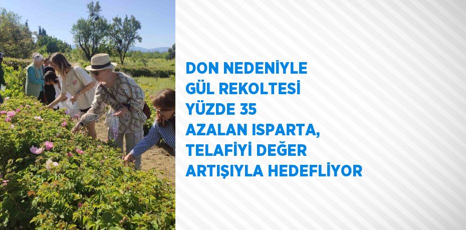 DON NEDENİYLE GÜL REKOLTESİ YÜZDE 35 AZALAN ISPARTA, TELAFİYİ DEĞER ARTIŞIYLA HEDEFLİYOR