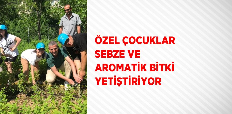 ÖZEL ÇOCUKLAR SEBZE VE AROMATİK BİTKİ YETİŞTİRİYOR