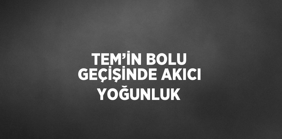 TEM’İN BOLU GEÇİŞİNDE AKICI YOĞUNLUK