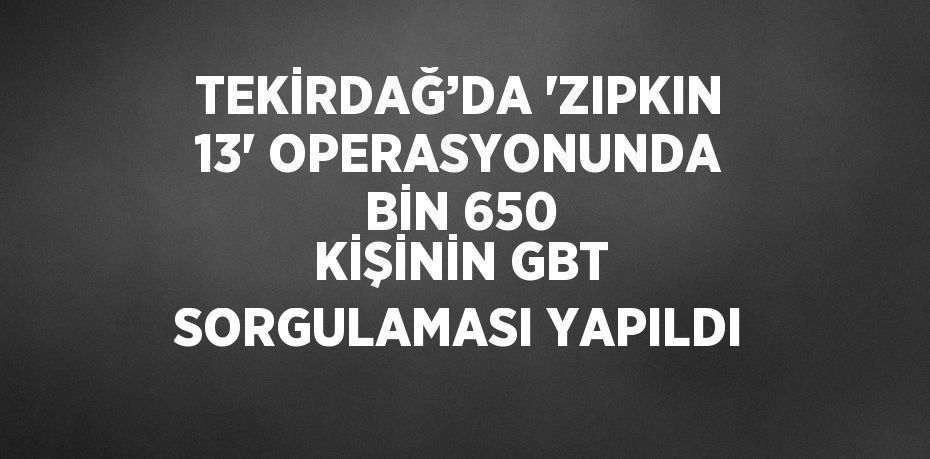 TEKİRDAĞ’DA 'ZIPKIN 13' OPERASYONUNDA BİN 650 KİŞİNİN GBT SORGULAMASI YAPILDI