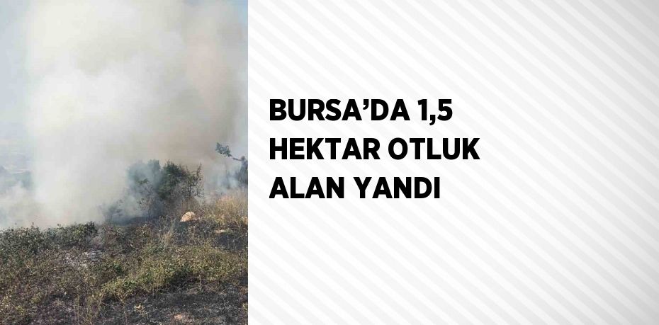 BURSA’DA 1,5 HEKTAR OTLUK ALAN YANDI