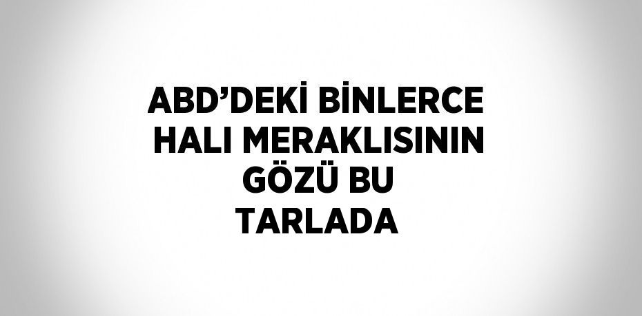 ABD’DEKİ BİNLERCE HALI MERAKLISININ GÖZÜ BU TARLADA