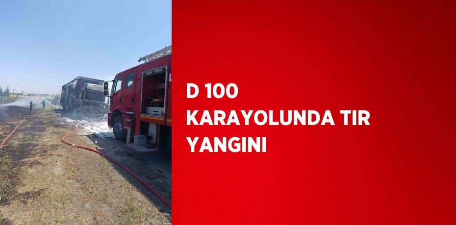 D 100 KARAYOLUNDA TIR YANGINI