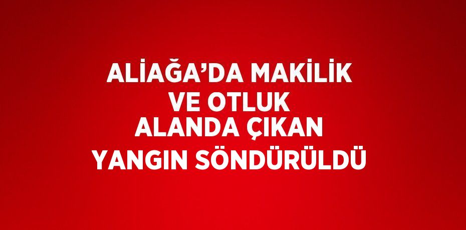 ALİAĞA’DA MAKİLİK VE OTLUK ALANDA ÇIKAN YANGIN SÖNDÜRÜLDÜ