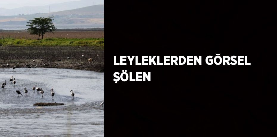 LEYLEKLERDEN GÖRSEL ŞÖLEN