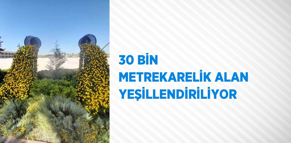 30 BİN METREKARELİK ALAN YEŞİLLENDİRİLİYOR