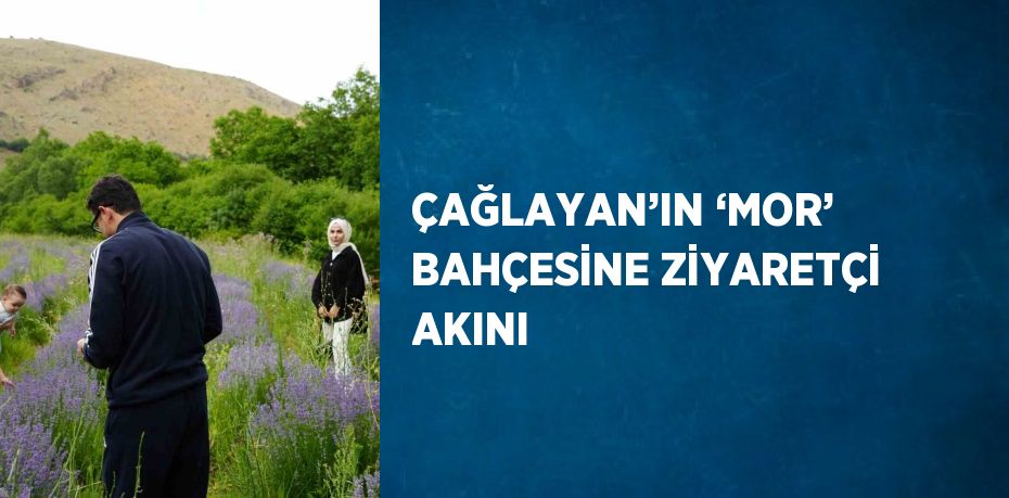 ÇAĞLAYAN’IN ‘MOR’ BAHÇESİNE ZİYARETÇİ AKINI