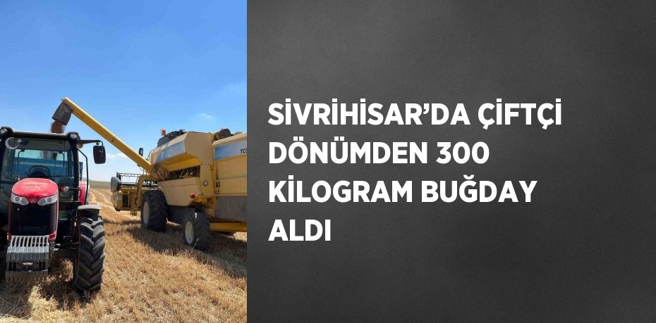 SİVRİHİSAR’DA ÇİFTÇİ DÖNÜMDEN 300 KİLOGRAM BUĞDAY ALDI