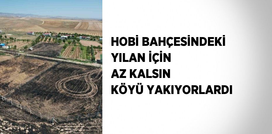 HOBİ BAHÇESİNDEKİ YILAN İÇİN AZ KALSIN KÖYÜ YAKIYORLARDI