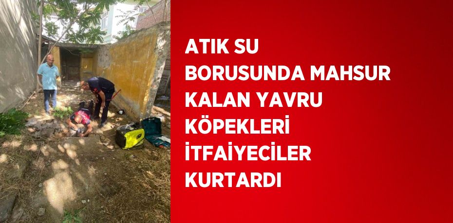 ATIK SU BORUSUNDA MAHSUR KALAN YAVRU KÖPEKLERİ İTFAİYECİLER KURTARDI