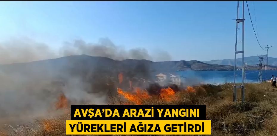 AVŞA’DA ARAZİ YANGINI YÜREKLERİ AĞIZA GETİRDİ