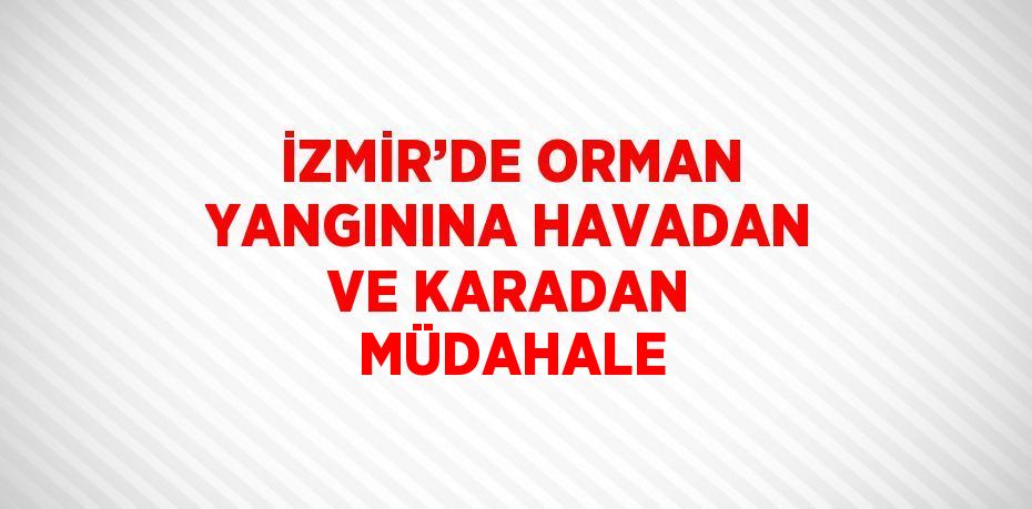 İZMİR’DE ORMAN YANGININA HAVADAN VE KARADAN MÜDAHALE