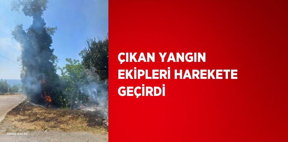 ÇIKAN YANGIN EKİPLERİ HAREKETE GEÇİRDİ