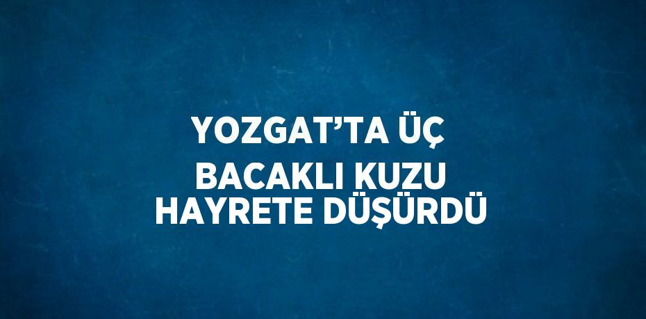 YOZGAT’TA ÜÇ BACAKLI KUZU HAYRETE DÜŞÜRDÜ