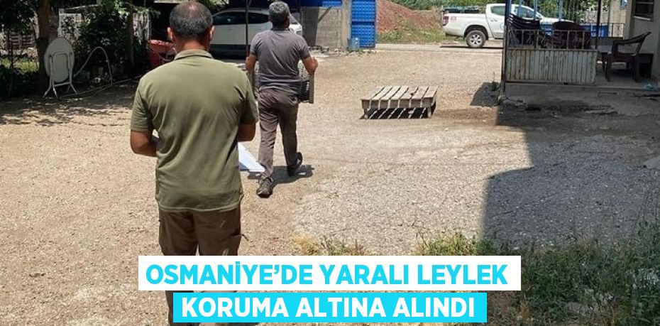 OSMANİYE’DE YARALI LEYLEK KORUMA ALTINA ALINDI