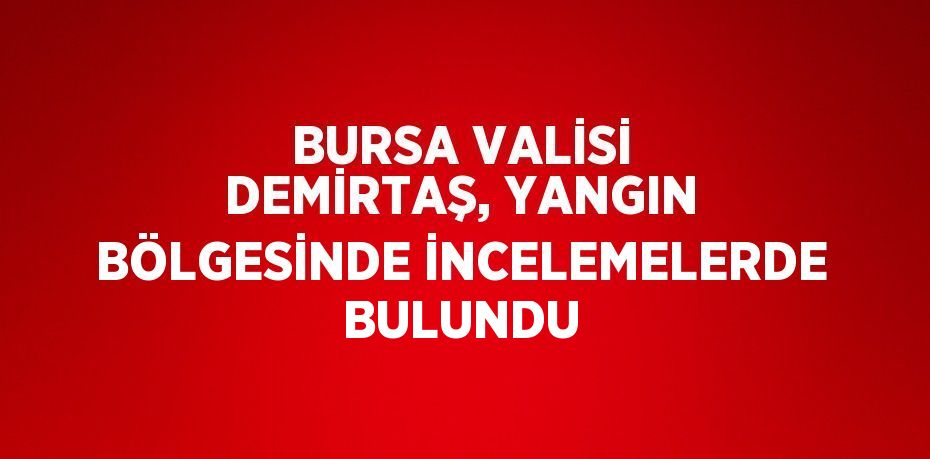 BURSA VALİSİ DEMİRTAŞ, YANGIN BÖLGESİNDE İNCELEMELERDE BULUNDU