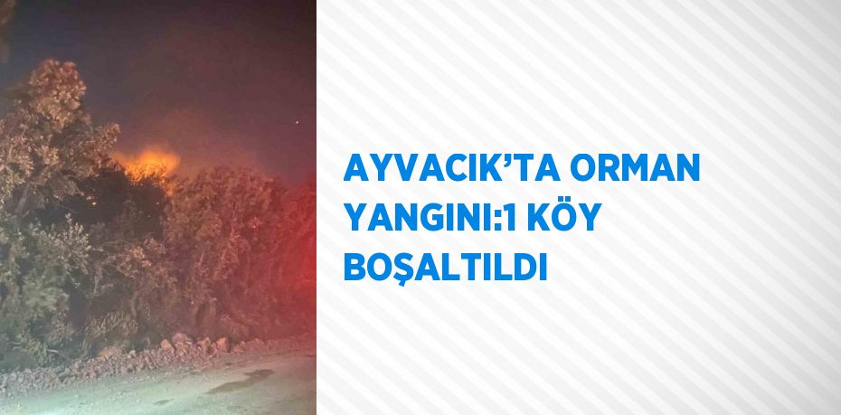 AYVACIK’TA ORMAN YANGINI:1 KÖY BOŞALTILDI