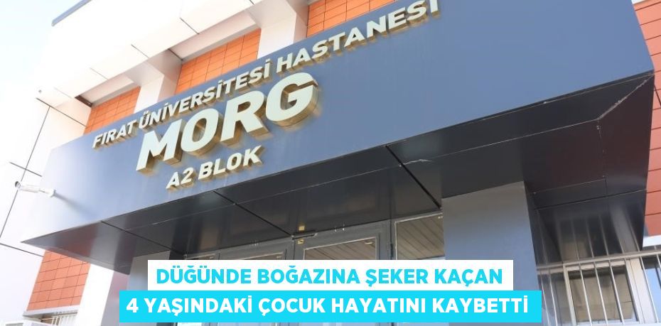 DÜĞÜNDE BOĞAZINA ŞEKER KAÇAN 4 YAŞINDAKİ ÇOCUK HAYATINI KAYBETTİ