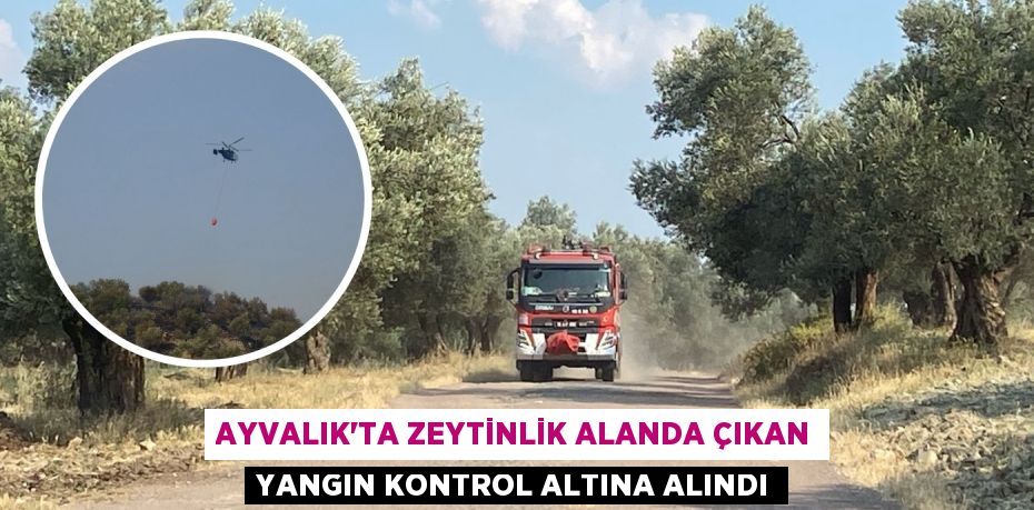AYVALIK’TA ZEYTİNLİK ALANDA ÇIKAN YANGIN KONTROL ALTINA ALINDI