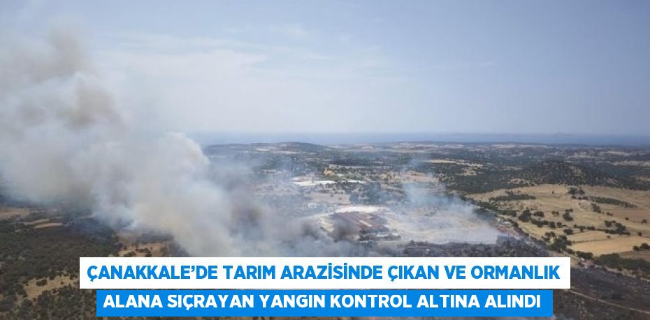 ÇANAKKALE’DE TARIM ARAZİSİNDE ÇIKAN VE ORMANLIK ALANA SIÇRAYAN YANGIN KONTROL ALTINA ALINDI