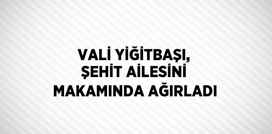 VALİ YİĞİTBAŞI, ŞEHİT AİLESİNİ MAKAMINDA AĞIRLADI