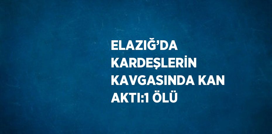 ELAZIĞ’DA KARDEŞLERİN KAVGASINDA KAN AKTI:1 ÖLÜ